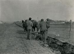 Three men plowing with horses