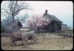 Posey county barnyard in spring, Near Old Dam of Wabash. C.W. Cushman