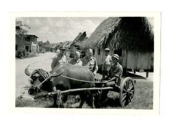 Roy Howard and other men with water buffalo 2