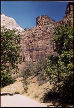 Zion Canyon. From road below Weeping Rock.