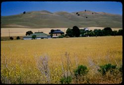 Contra Costa county hills and farms near Clayton