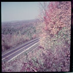 View of road from above, autumn
