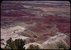 Painted Desert in Petrified Forest  Nat'l Monument east of Holbrook, Arizona