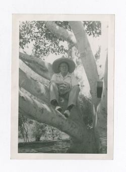Man sitting in tree