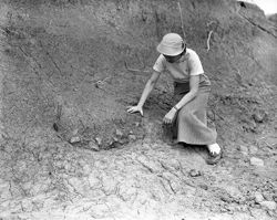 Yankeetown Excavation