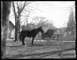 Public square, horse and buggy, closeup