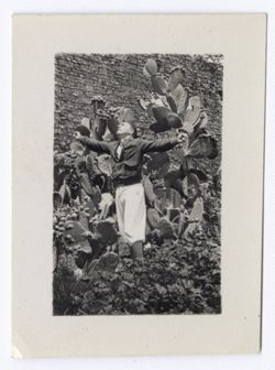 Item 1164. Unidentified man standing among cactus plants with arms outstretched.