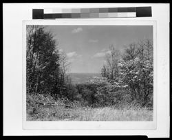 Looking north from Freeman Ridge towards village of Bean Blossom