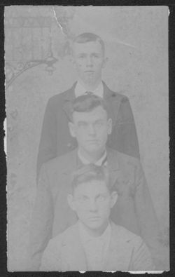 Portrait of three young men.