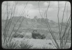 40-F-25=Baboquivari Peak nr. Arizona- Sonora line