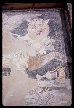 Mosaic on floor of ancient temple Delos