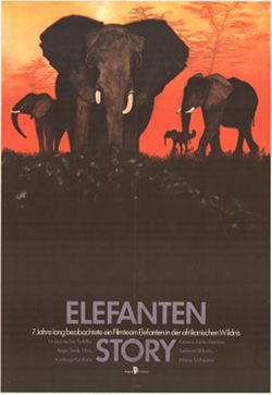 Elefanten Story