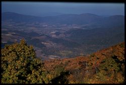 Blue Ridge Mtns. Virginia from Skyline Drive Cushman