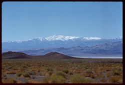 View S.W. toward high White Mtns. from U.S. 95 south of Mina, Nevada.