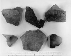 Stamped Sherds