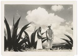 Item 0212. "Maria" (Isabel Villasenor) and "Sebastian" (Martin Hernandez) standing in front of large maguey plant, another to their right in the foreground, a third at extreme right. In front of this last plant a man wearing a sombrero is standing, only partially visible.