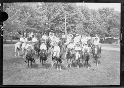 Group of horses, 4th of July, front of studio