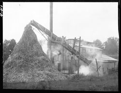 Cane mill at Manilla (Holbrook Bros.)