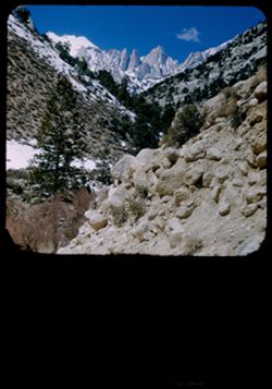 Mount Whitney - 14,495 ft. - with its spires - seen from Portal Station.