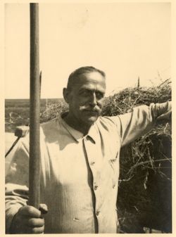 German man bailing hay