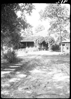 Steele home, backyard view