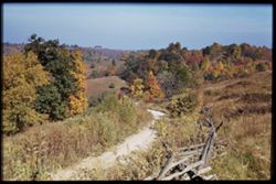 Fall colors along US40 Belmont county, Ohio Cushman
