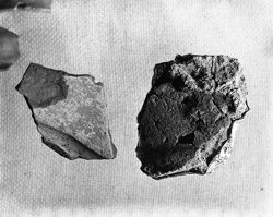 Plate Sherds