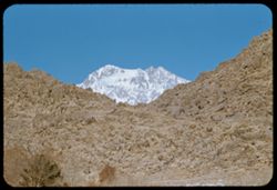 Mt. Williamson seen from Alabama Hills, above Lone Pine