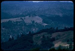 View westward across Redwood creek Valley in Humboldt county near Berry summit