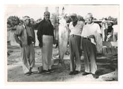 Men standing with fish