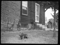 Douglass home and dog