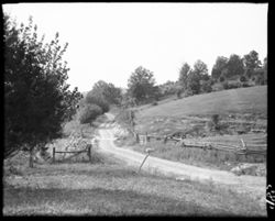 Uphill road near Old Republican's home, Schooner Valley