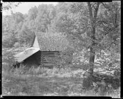 Old barn just off Bear Creek road (orig. neg.)