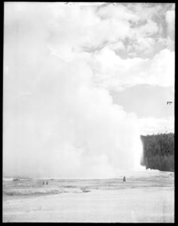 "Old Faithful" geyser, Yellowstone Nat'l Park, Wyoming