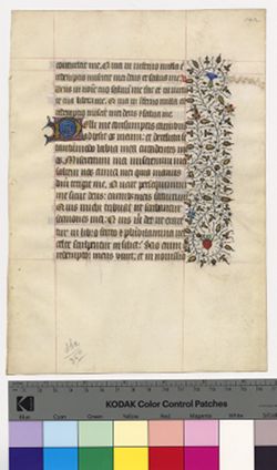 Thumbnail for Book of Hours [Fragment]