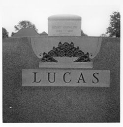 Lucas - Basket - red colored flowers