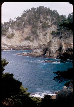 Cypress cove -Point Lobos-Carmel Bay California