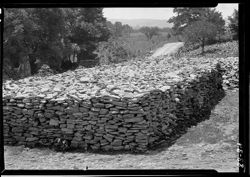Pile of limestone near Vevay, Lewis home