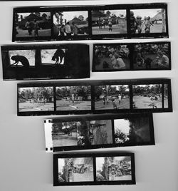 Contact Sheet #2 of 5