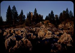 Almost sunset. Rocks left from the days of placer mining. Columbia, California.