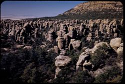 NW from Massai Pt. - Chiricahua's wonderland of rocks.