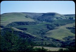 San Mateo ccounty hills along Coast above Tunitas creek