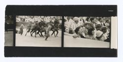 Item 0140. Various scenes in the bullring. 2 ¼ prints