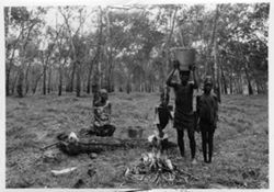 Young rubber tappers at Cavalla