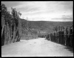 Home near Mitla, with organ cactus fence, without figures