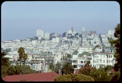 View toward Russian Hill from San Francisco Presidio