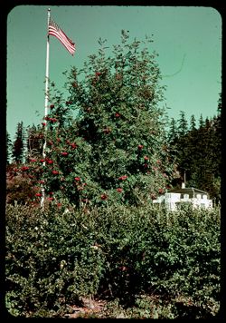 B-21= Flag at Bonneville, Washington