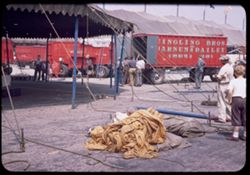 Midget takes a nap while tents go up for 1946 Circus