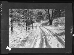 Winter road at Ellen Murphy's