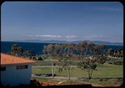 View up coast from Palos Verdes Estates above Cove